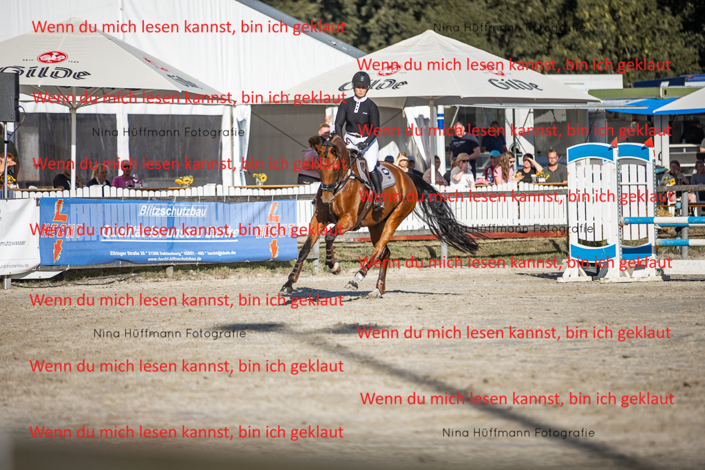 BK1A7736 | Turnierbilder Turnierfotos Nina Hüffmann Turnierfotografie Pferdefotografie Tierzeichnung Haustierzeichnung Pferdezeichnung Hundezeichnung Videograf  - Realisiert mit Pictrs.com