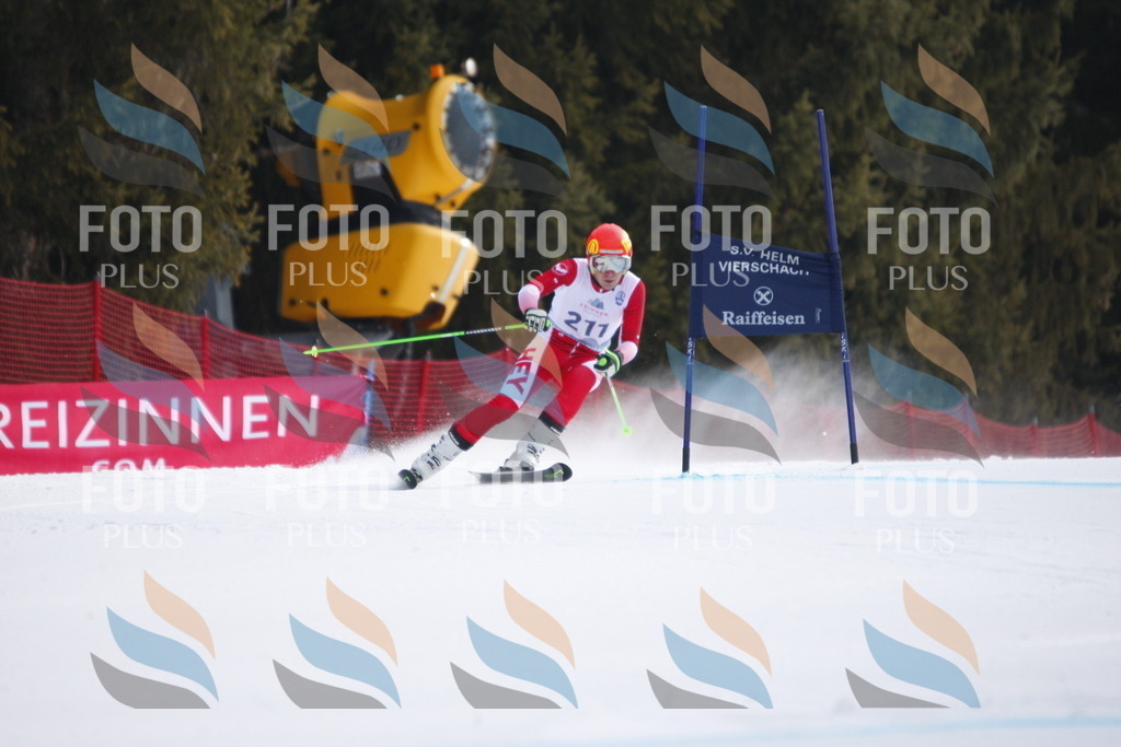 D8212 | holidayphoto