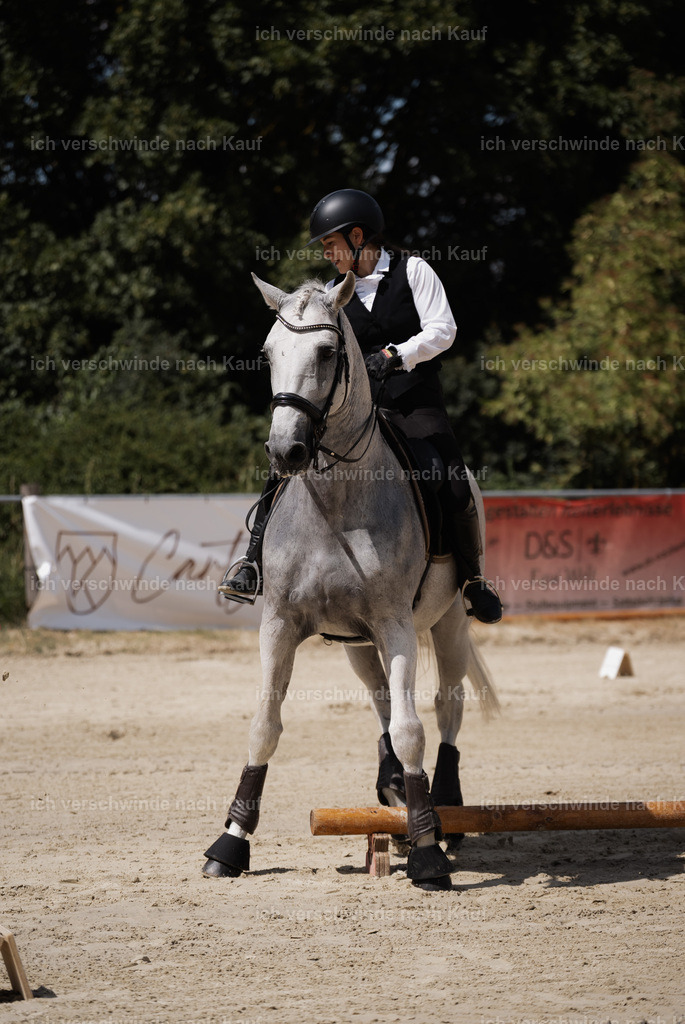 WM_SP_143_Stoibphotography_SO19726 | working equitationturnier fotograf videograf stoibphotography marixx film working equitation deutschland reitsport turnierfotografie eventfotografie equestrian events