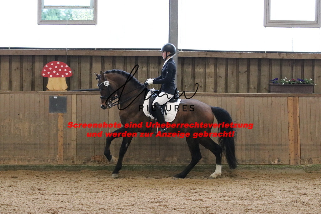 IMG_8971 | lmwpictures - Realisiert mit Pictrs.com