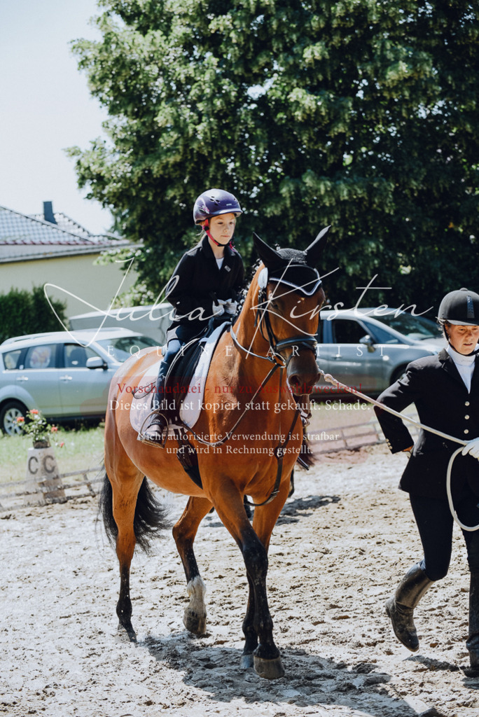DSC_2268 | Pferde- und Turnierfotografie in Westsachsen. Pferdeportraits, Auftragszeichnungen und intuitive Kunst.
