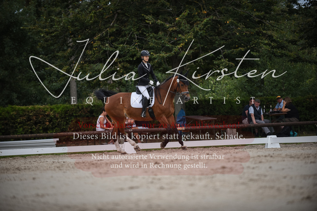 DSC_8264 | Pferde- und Turnierfotografie in Westsachsen. Pferdeportraits, Auftragszeichnungen und intuitive Kunst.