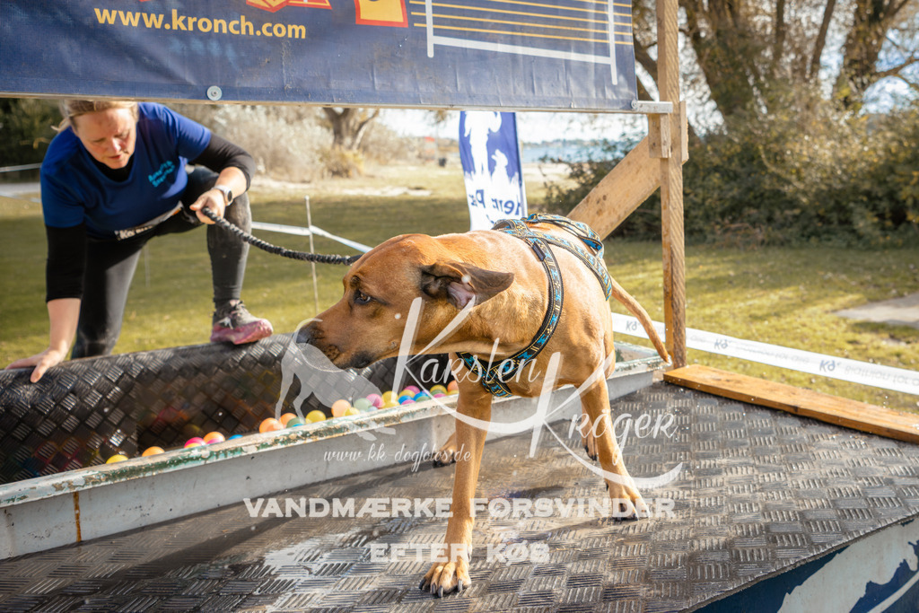 1500_ZZ95547-2 | kk-dogfotos