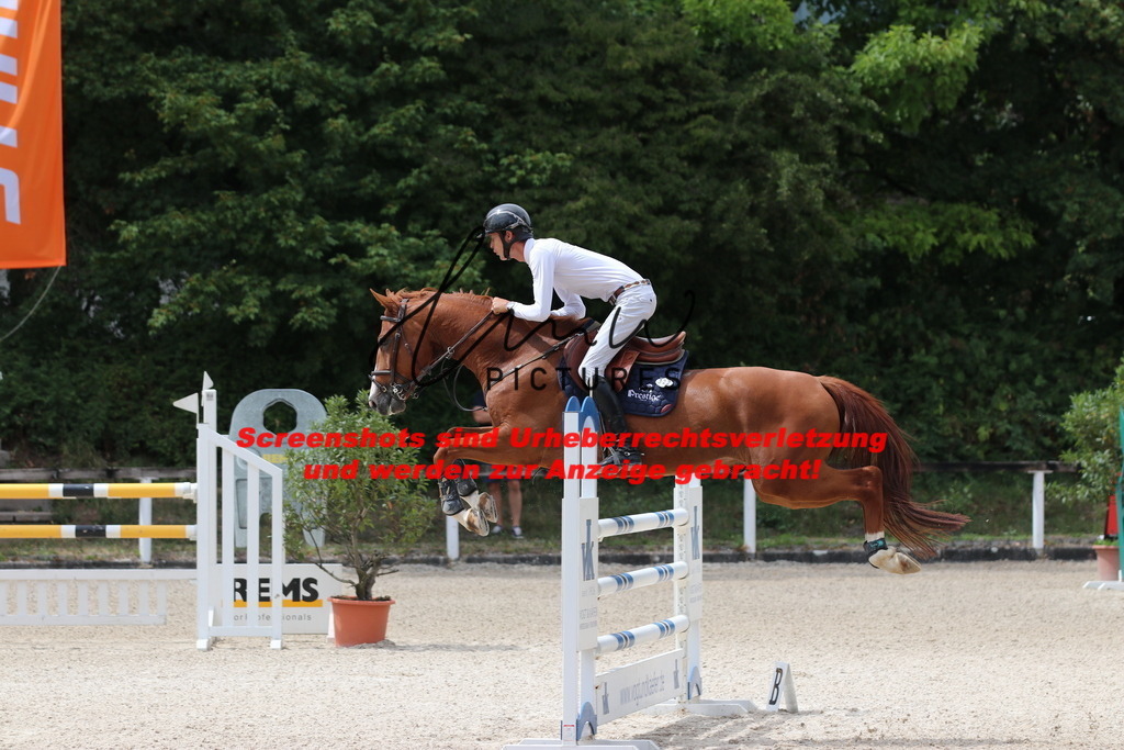 IMG_2052 | lmwpictures - Realisiert mit Pictrs.com