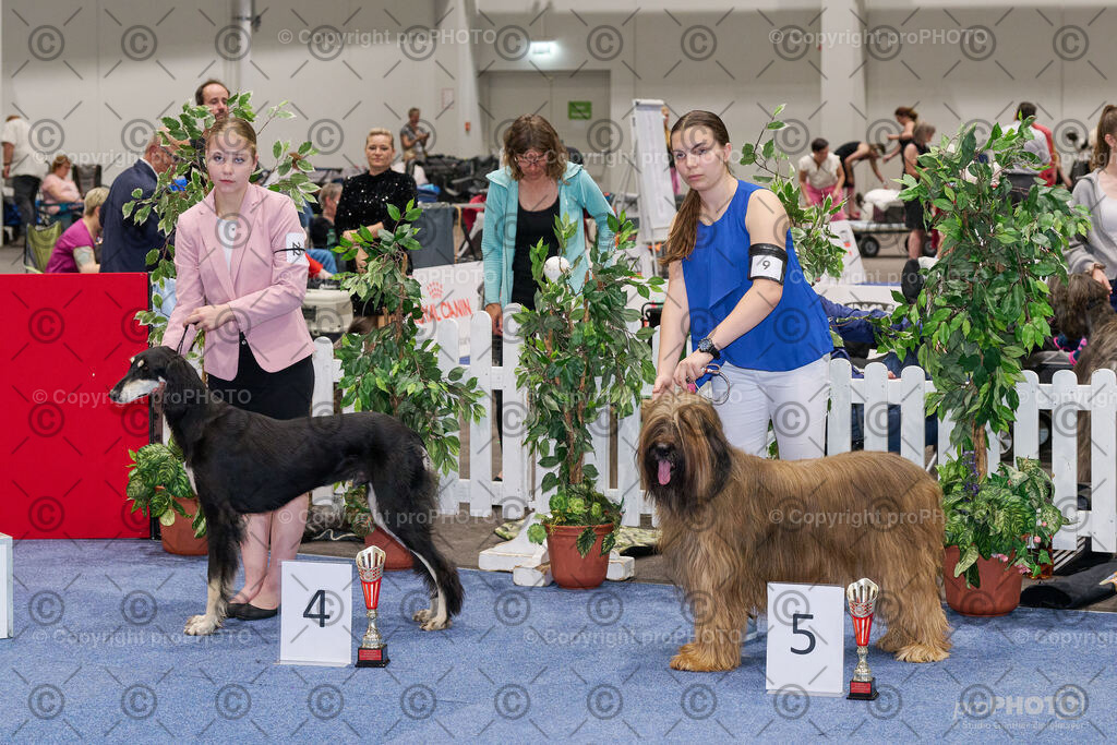 202406_ÖKV-IHA-Tulln24_NZ9_9422 | proPHOTO - Realisiert mit Pictrs.com