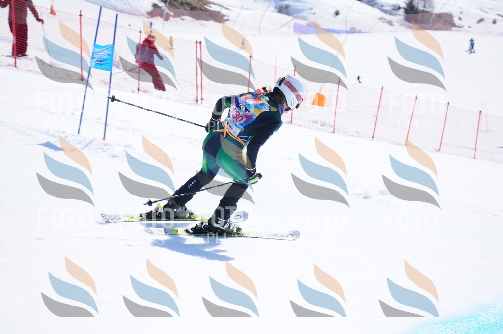 DSC_5078 | holidayphoto