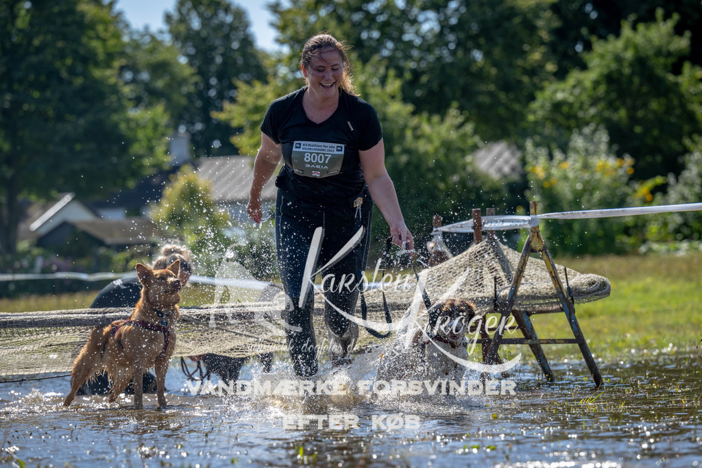 1252_ZZ90369 | kk-dogfotos