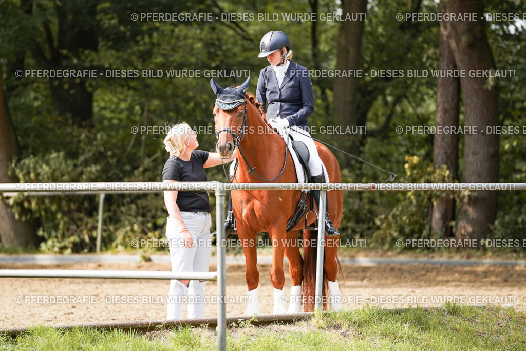 DSC03615 | Pferdegrafie