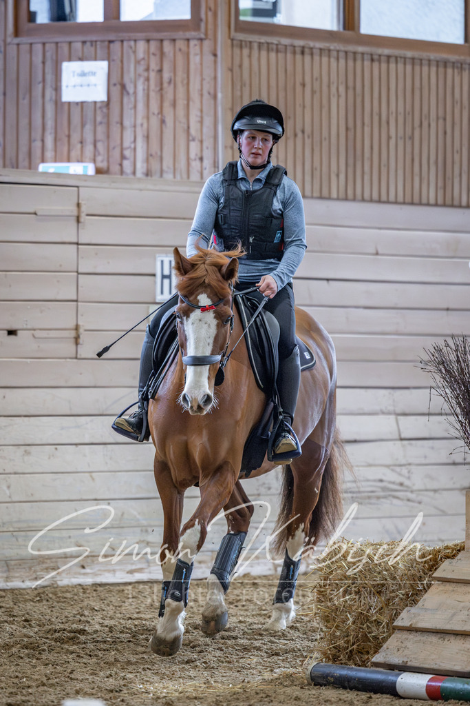 20260221-_3LI9830 | Tierfotografie Pferde, Hunde, Katzen, Haustiere.
Turnierfotografie Reitturniere, Reiten, Springreiten, Dressur in Hanau, dem Main-Kinzig-Kreis und dem Rhein-Main- Gebiet um Frankfurt