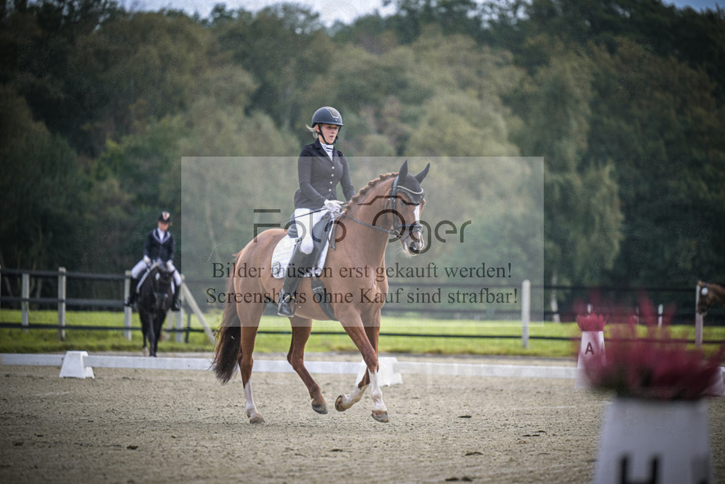 DOS_B387 | Entdecke hochwertige Reitturnierfotos von Foto Oger. Professionell, emotional und authentisch – jetzt Lieblingsmomente im Shop bestellen.Deutschlandweite Turnierfotografie. - Realisiert mit Pictrs.com