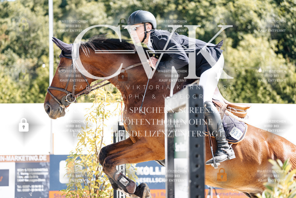 CK908586 | Turnierfotografie Pferdefotografie Trier Rheinland-Pfalz Pferdesport Reitsport Tierfotografie Sportfotografie Pferdevideo Pferdevideografie Equestrianvideography equestrianphotography  - Realisiert mit Pictrs.com