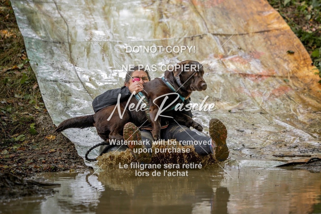 nelerasche_Hunsrück_Sa1430-1500_310-final | nelerasche