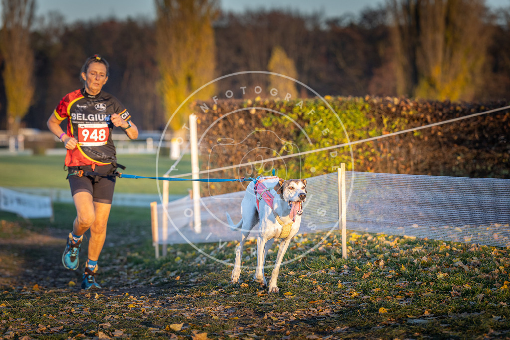 CaniXpix_DV3A5551 | Hundefotografie, Tierfotograf, Pfotenfotografie, Fotoshooting Hund, Hunde Portrait, Hundesport, Hundeportraits, Heideshooting, Hunde, Sportfotograf, Hundefotograf, Turnierhundsport, THS,  - Realisiert mit Pictrs.com