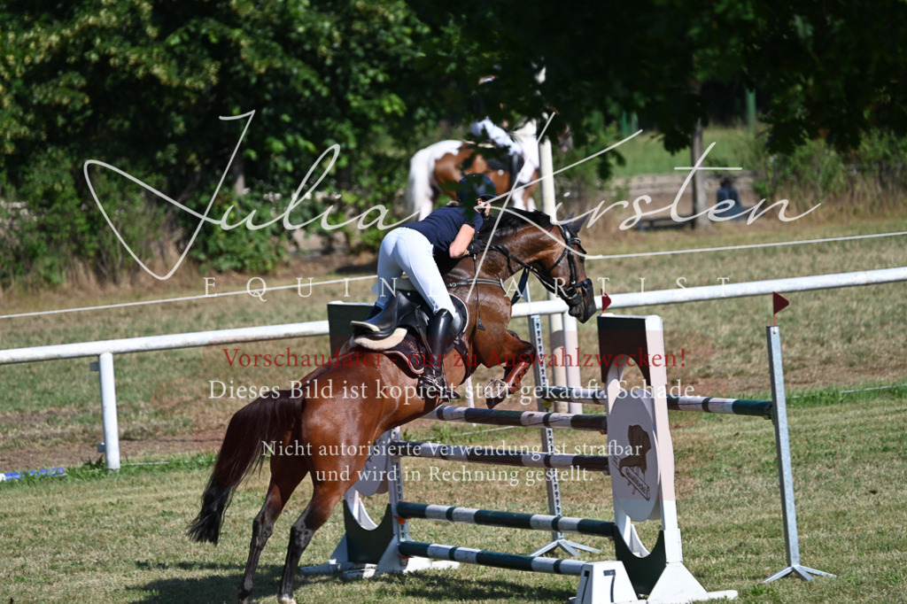DSC_2132 | Pferde- und Turnierfotografie in Westsachsen. Pferdeportraits, Auftragszeichnungen und intuitive Kunst.
