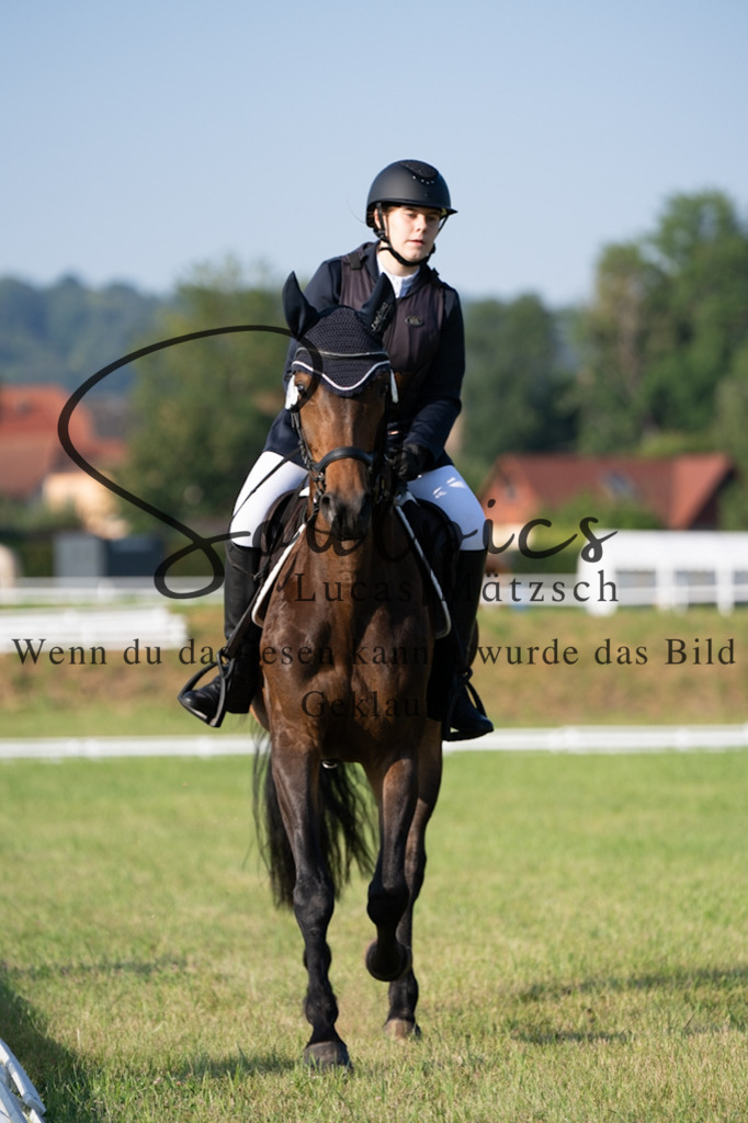 A7V09203 | Pferdefotograf