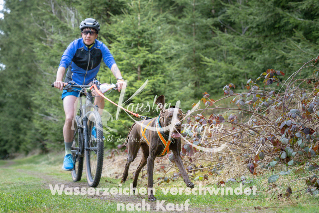 1312_ZZ94045 | kk-dogfotos