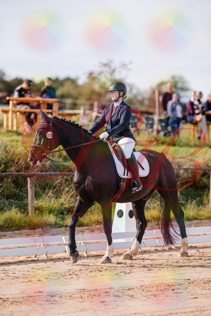 2026_10_03_Siefer-Hof_113247_Z81_78930035 | Professionelle Reitsport-, Turnier- und Eventfotografie von Robert Broda. Galerien mit ausgewählten und bearbeiteten Bildern direkt online ansehen und bestellen.
