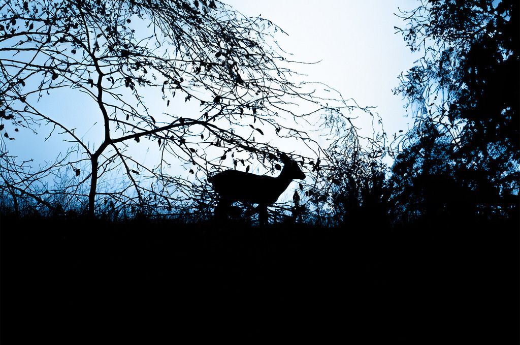 DSC3910 | <meta name="keywords" content="Bergbilder, Hochzeitsfotografie, Actionshootings, Fotografiearbeiten, Berglandschaften, Naturfotografie">

 - Realisiert mit Pictrs.com