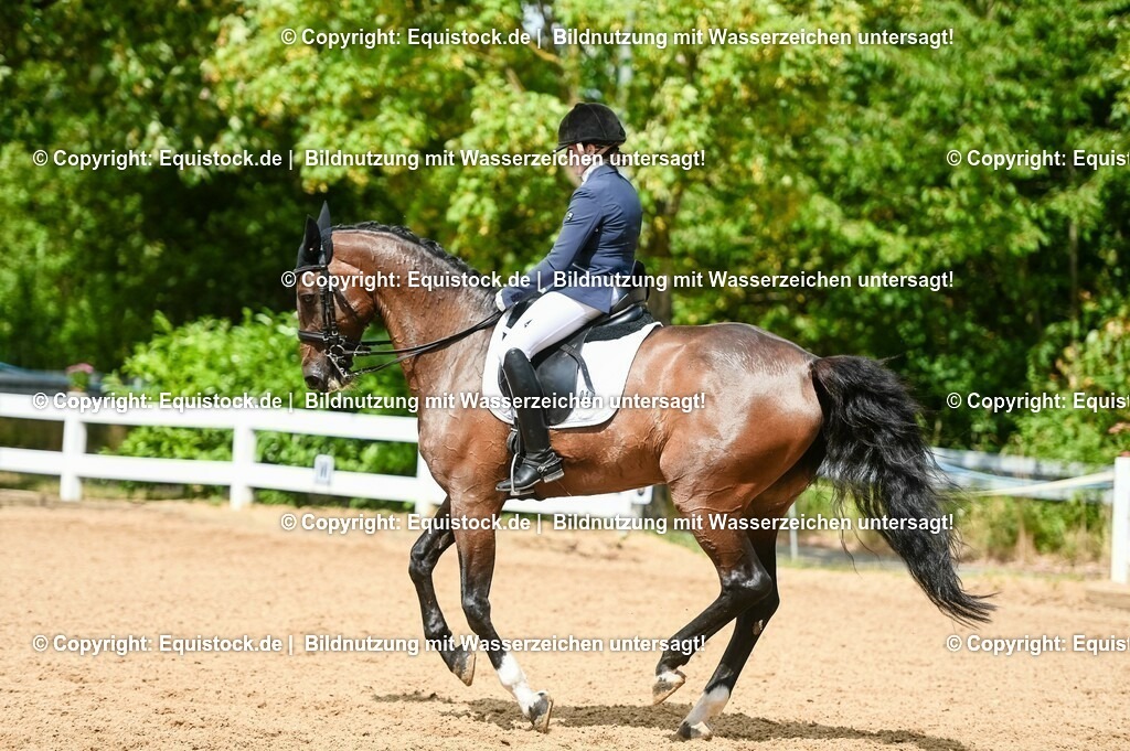 20230716_01_Dressurprüfung Kl.M_0188 | equistock