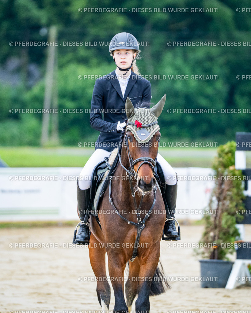 DSC00997 | Pferdegrafie