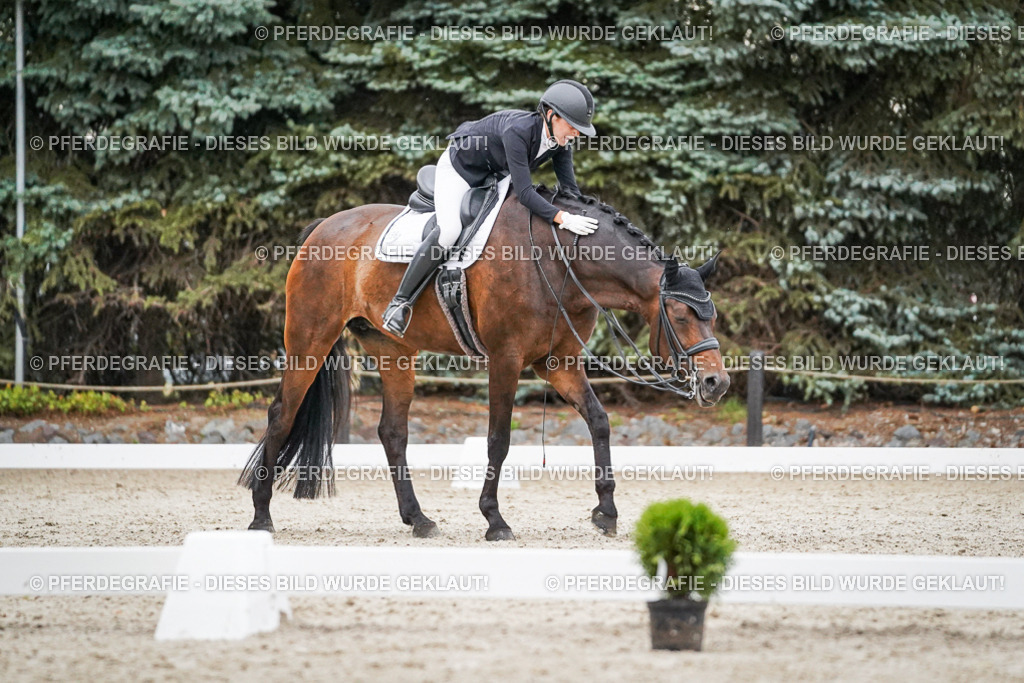 DSC09749 | Pferdegrafie