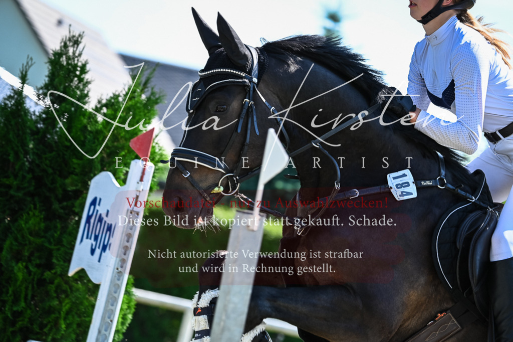 DSC_1560 | Pferde- und Turnierfotografie in Westsachsen. Pferdeportraits, Auftragszeichnungen und intuitive Kunst.