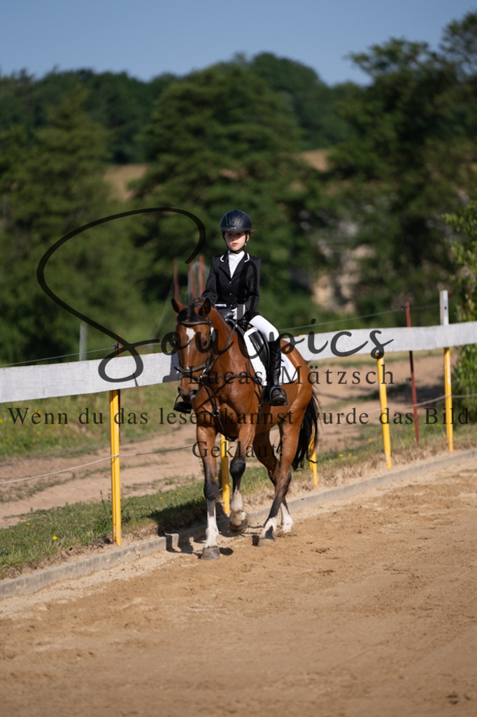 A7V07601 | Pferdefotograf