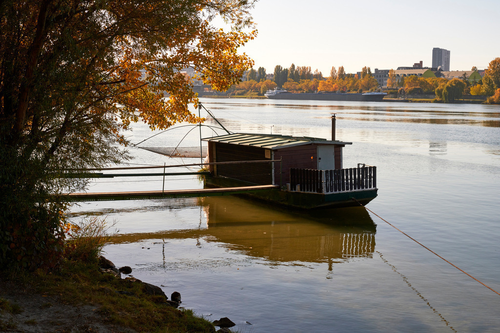 Fischerboot auf der Alten Donau | Wien, Austria - October 24, 2021: Fischerboot auf der Alten Donau - Realisiert mit Pictrs.com