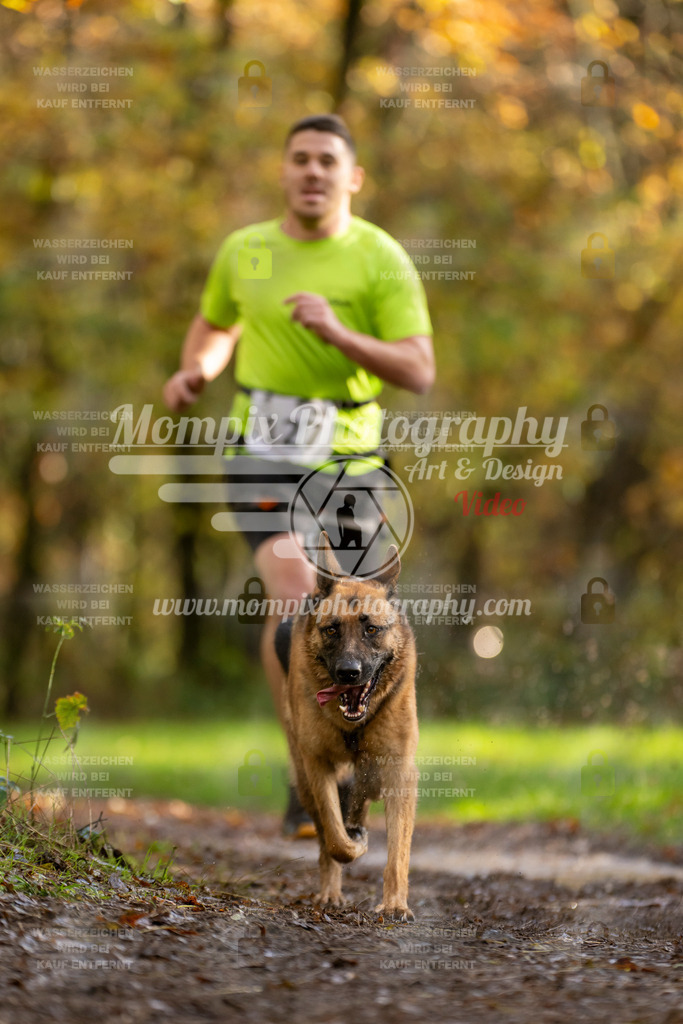 MompixPhotography_Bischwiller23_Canicross-112 | PayLife