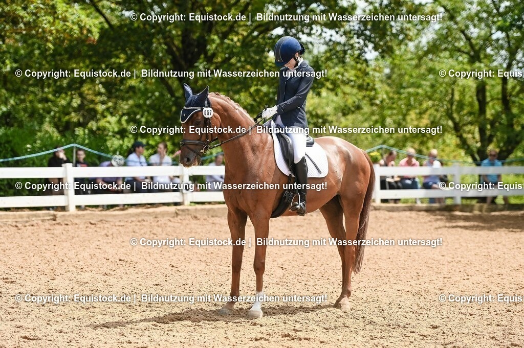 20230716_03_Dressurprfg. Kl.L - Tr._0303 | equistock