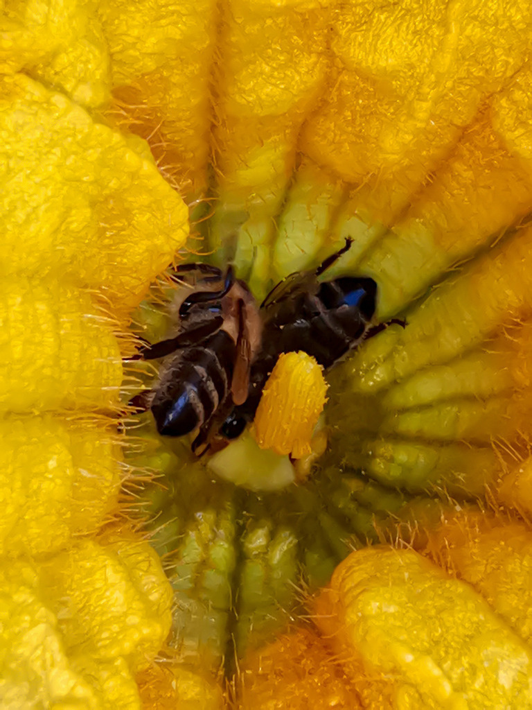 PSX_20230906_232017 | mtkfoto_ - Realisiert mit Pictrs.com