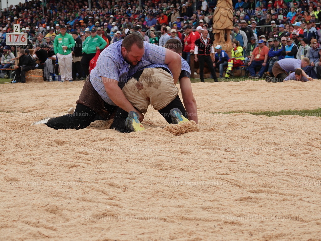 DSC08069 | Schwingen - Realisiert mit Pictrs.com
