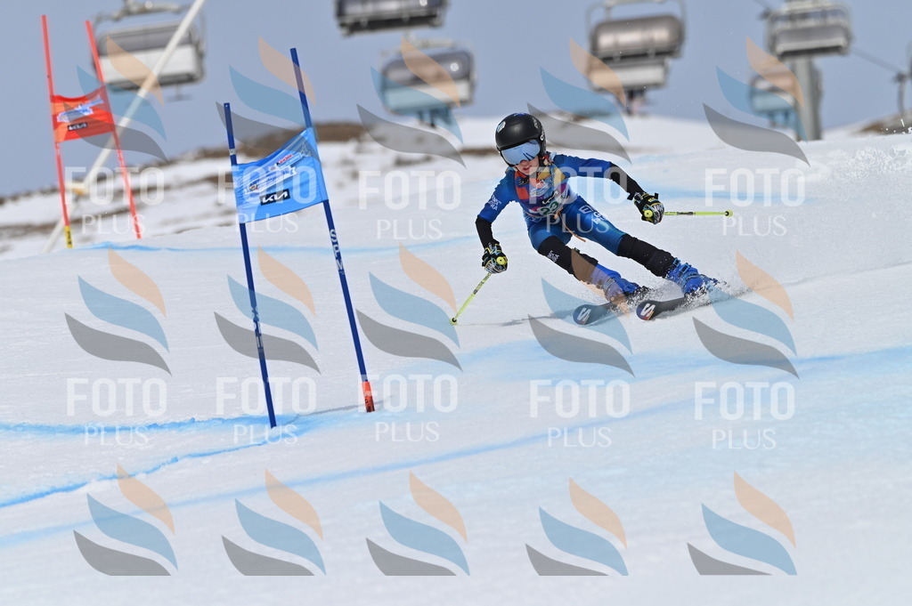 BGV_4574 | holidayphoto