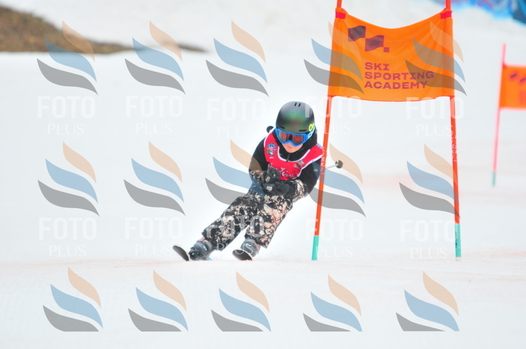 C0521 | holidayphoto