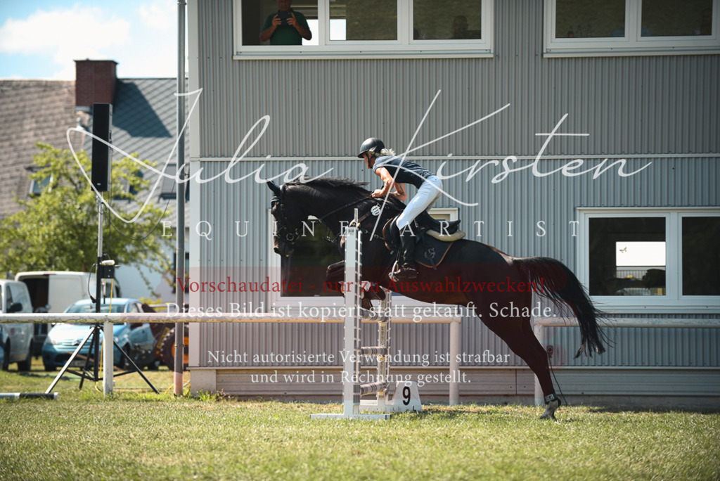 DSC_6935 | Pferde- und Turnierfotografie in Westsachsen. Pferdeportraits, Auftragszeichnungen und intuitive Kunst.