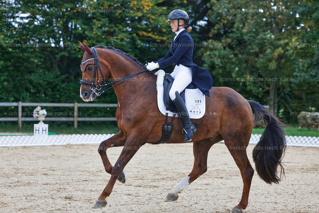8_1-085-Klasse S_  -StoibPH-3824 | working equitationturnier fotograf videograf stoibphotography marixx film working equitation deutschland reitsport turnierfotografie eventfotografie equestrian events
