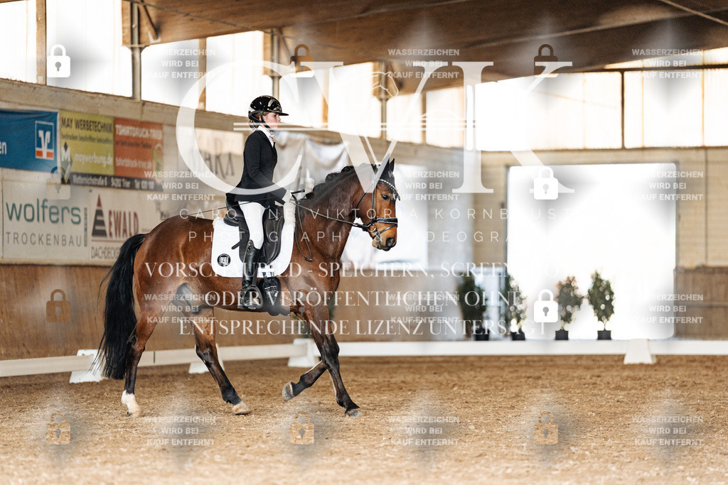CK901994 | Turnierfotografie Pferdefotografie Trier Rheinland-Pfalz Pferdesport Reitsport Tierfotografie Sportfotografie Pferdevideo Pferdevideografie Equestrianvideography equestrianphotography  - Realisiert mit Pictrs.com