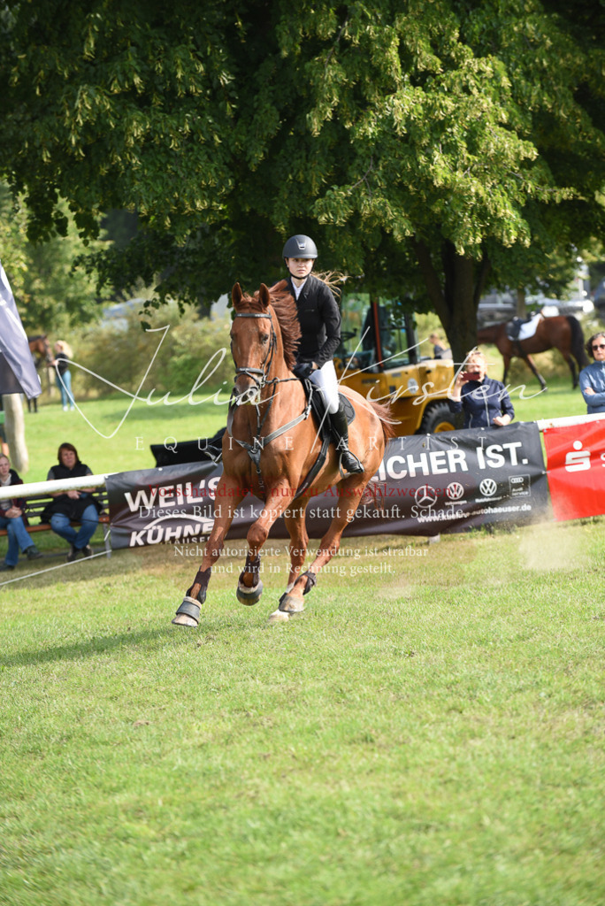 DSC_8769 | Pferde- und Turnierfotografie in Westsachsen. Pferdeportraits, Auftragszeichnungen und intuitive Kunst.