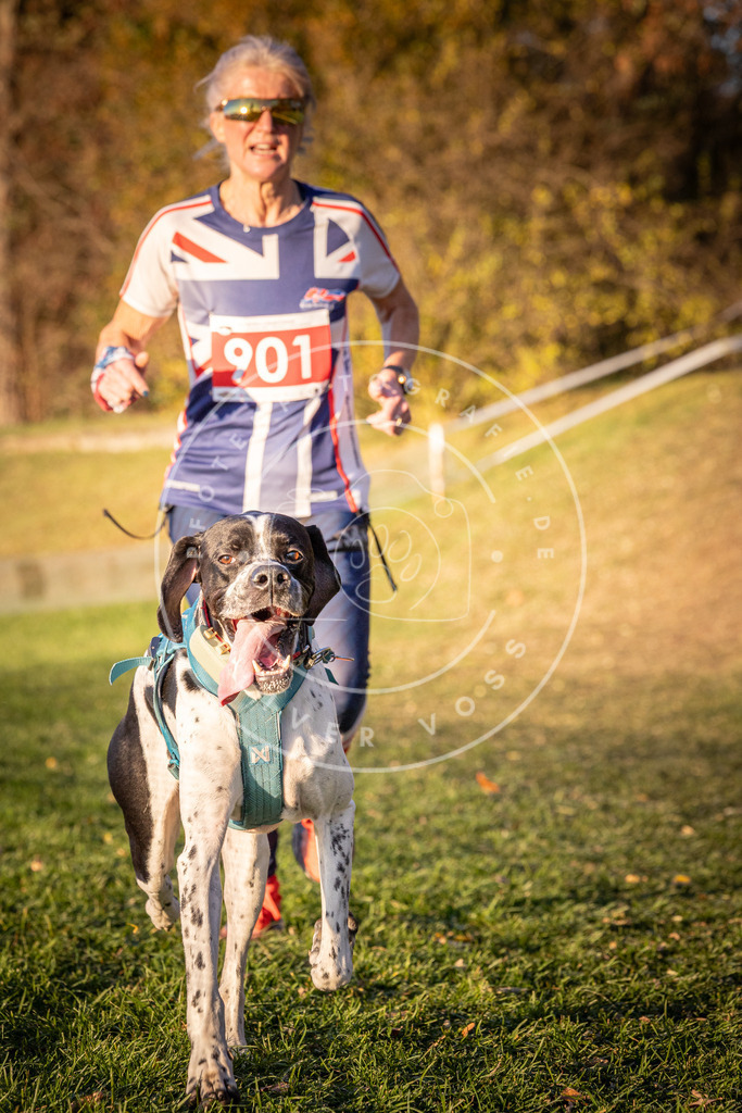 CaniXpix_0L8A1351 | Hundefotografie, Tierfotograf, Pfotenfotografie, Fotoshooting Hund, Hunde Portrait, Hundesport, Hundeportraits, Heideshooting, Hunde, Sportfotograf, Hundefotograf, Turnierhundsport, THS,  - Realisiert mit Pictrs.com