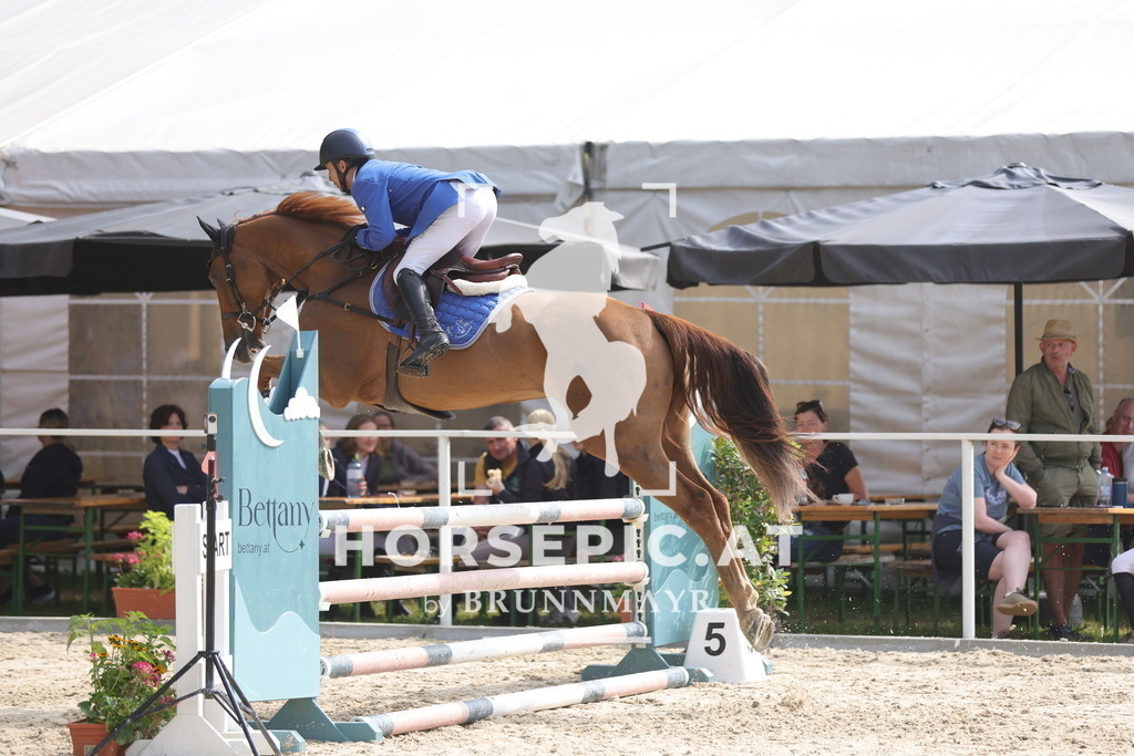 0P6A8113 | Willkommen bei Brunnmayr - Design & Fotografie – Ihrem Spezialisten für Reitturniere und Pferdeveranstaltungen in Oberösterreich, Salzburg und Bayern! Seit über 17 Jahren sind wir leidenschaftlich dabei.