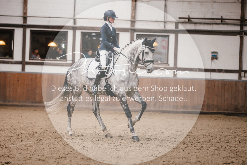3I6A6831 | Stimmungsvolle Portraits und Reitsportfotografie im Ruhrgebiet und im Münsterland.

Pferdefotografie, Hundefotografie, Tierfotografie, Reportagen, Portraits von Tier und Mensch, Turnierfotografie in Bochum, Recklinghausen, Marl, Haltern am See, Dülmen.. - Realisiert mit Pictrs.com