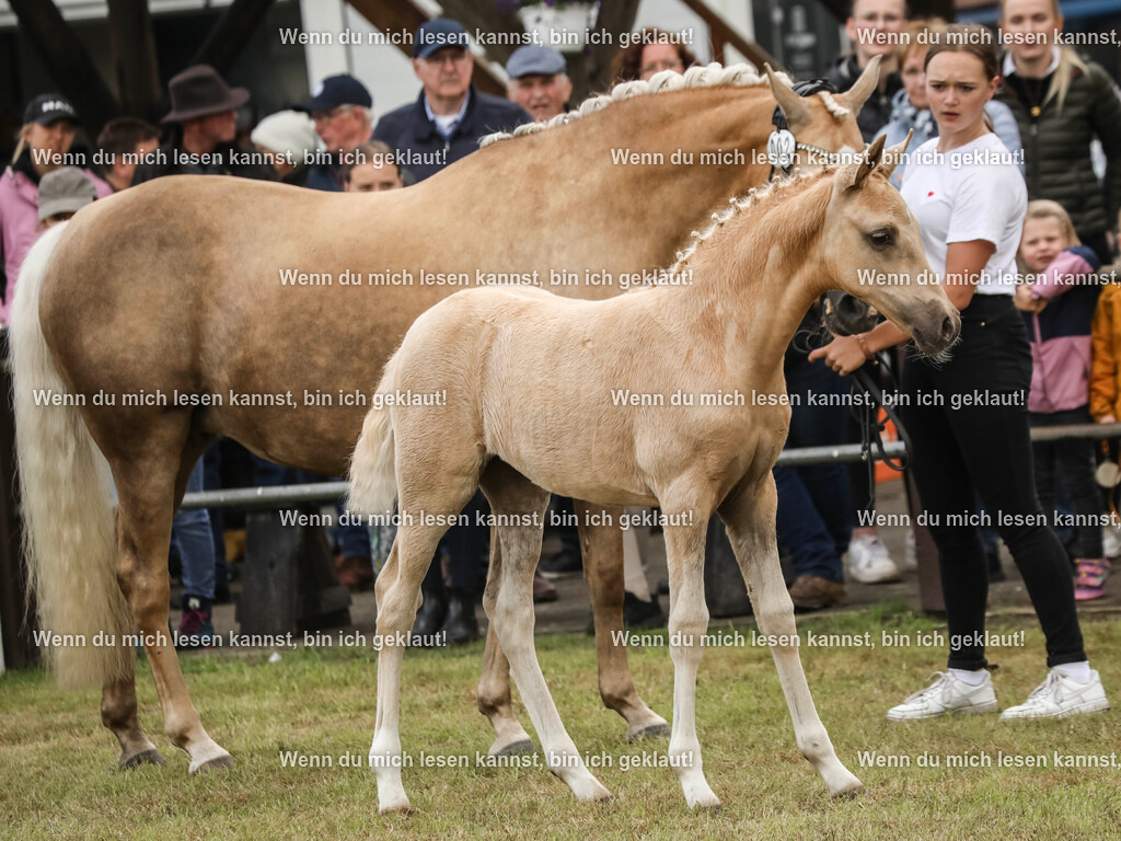 598A1689 | photographylinaismer - Realisiert mit Pictrs.com