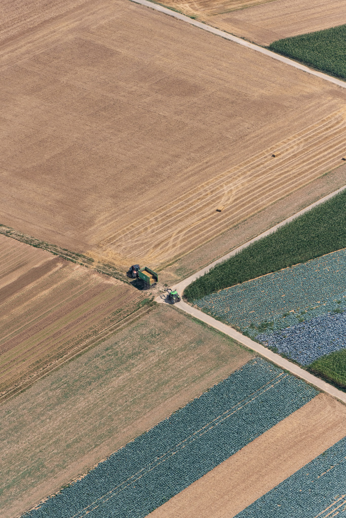 dr__0015937.jpg | DILLINGEN AN DER DONAU 03.08.2018 Strukturen auf landwirtschaftlichen Feldern in Zusamaltheim im Bundesland Bayern, Deutschland. // Structures on agricultural fields in Zusamaltheim in the state Bavaria, Germany. Foto: Daniel Reiter
