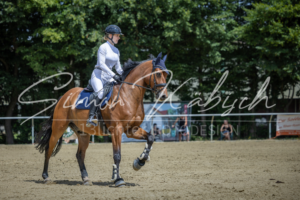 20260704-_3LI9760 | Tierfotografie Pferde, Hunde, Katzen, Haustiere.
Turnierfotografie Reitturniere, Reiten, Springreiten, Dressur in Hanau, dem Main-Kinzig-Kreis und dem Rhein-Main- Gebiet um Frankfurt