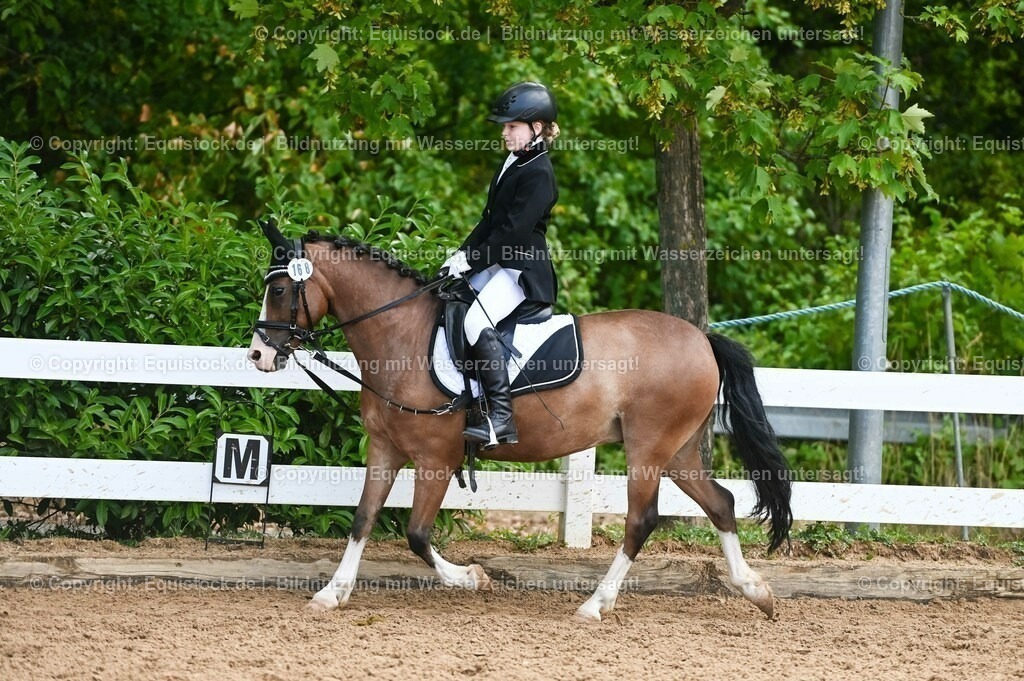 20230716_10-2_Reiter-WB Schritt - Trab - Galopp_0149 | equistock