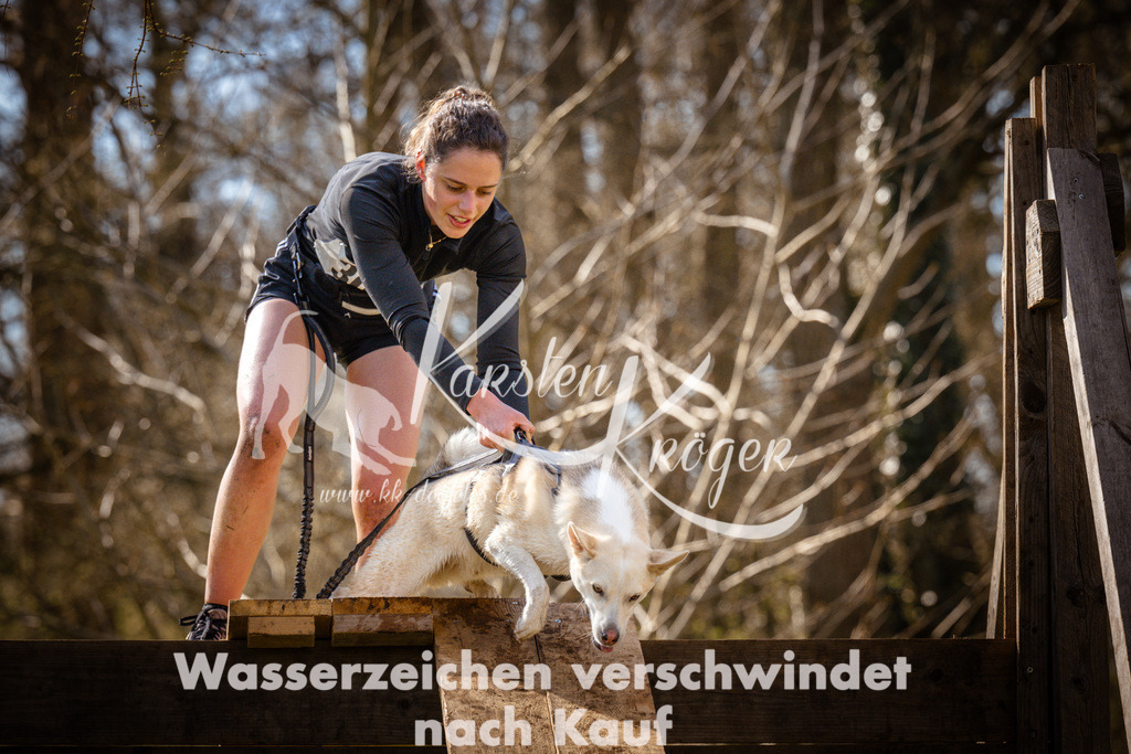 0917_ZZ94594 | kk-dogfotos