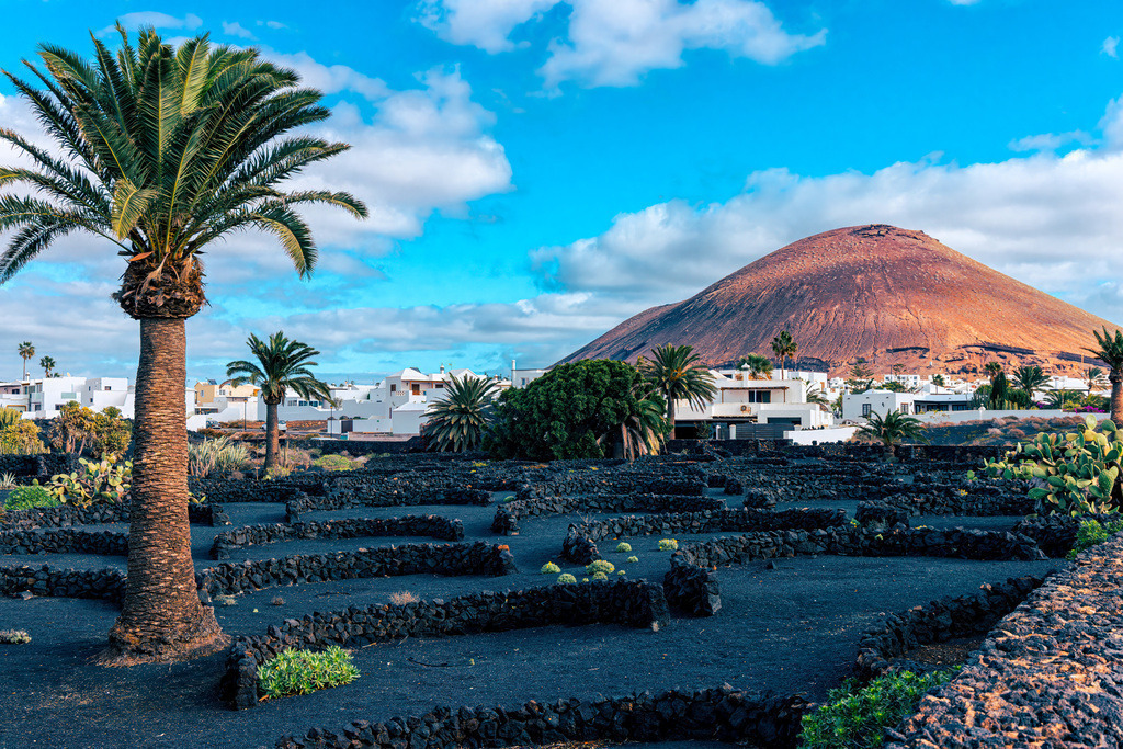 Charakteristische Landschaft der Kanareninsel Lanzarote | Das Bild zeigt eine charakteristische Landschaft auf der Kanareninsel Lanzarote, genauer gesagt das Weinanbaugebiet La Geria. Wichtige Details zur Region:La Geria: Dies ist das größte Weinanbaugebiet der Kanaren und bekannt für seine einzigartige Form des Trockenfeldbaus.Anbautechnik: Um die Reben vor den stetigen Winden zu schützen und Feuchtigkeit zu speichern, werden sie in Trichtern in der Vulkanasche (Lapilli) gepflanzt und mit halbkreisförmigen Steinmauern umgeben.Kulturelle Bedeutung: Das Gebiet wurde bereits in den 1960er Jahren vom Museum of Modern Art in New York für seine besondere Landschaftsgestaltung gewürdigt.Geografie: Es erstreckt sich zwischen den Orten Yaiza und San Bartolomé, am Rande des Timanfaya-Nationalparks.  - Realisiert mit Pictrs.com