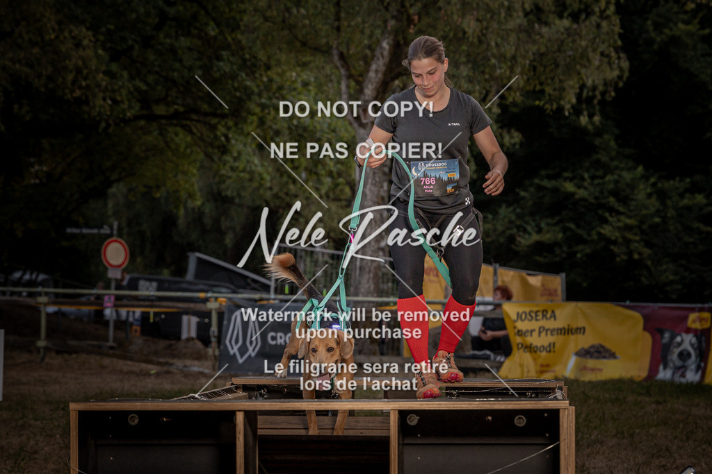 nelerasche_SummerNights26_SaBrücke2030-2100_400 | nelerasche