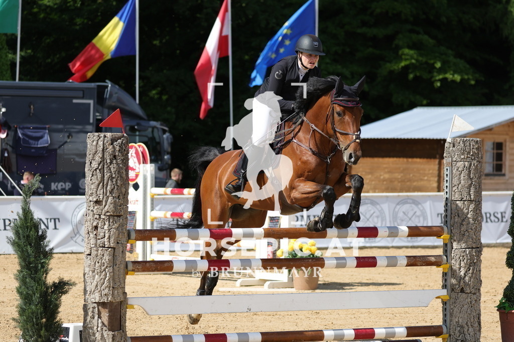 0P6A6748 | Willkommen bei Brunnmayr - Design & Fotografie – Ihrem Spezialisten für Reitturniere und Pferdeveranstaltungen in Oberösterreich, Salzburg und Bayern! Seit über 17 Jahren sind wir leidenschaftlich dabei.