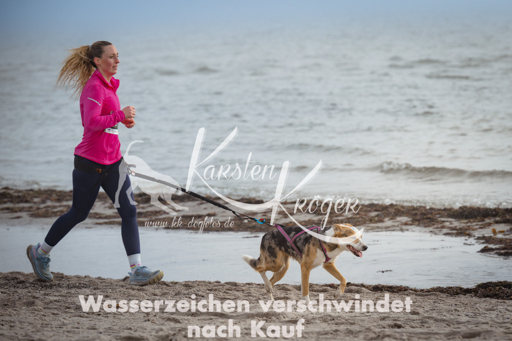 1134_ZZ99446 | kk-dogfotos